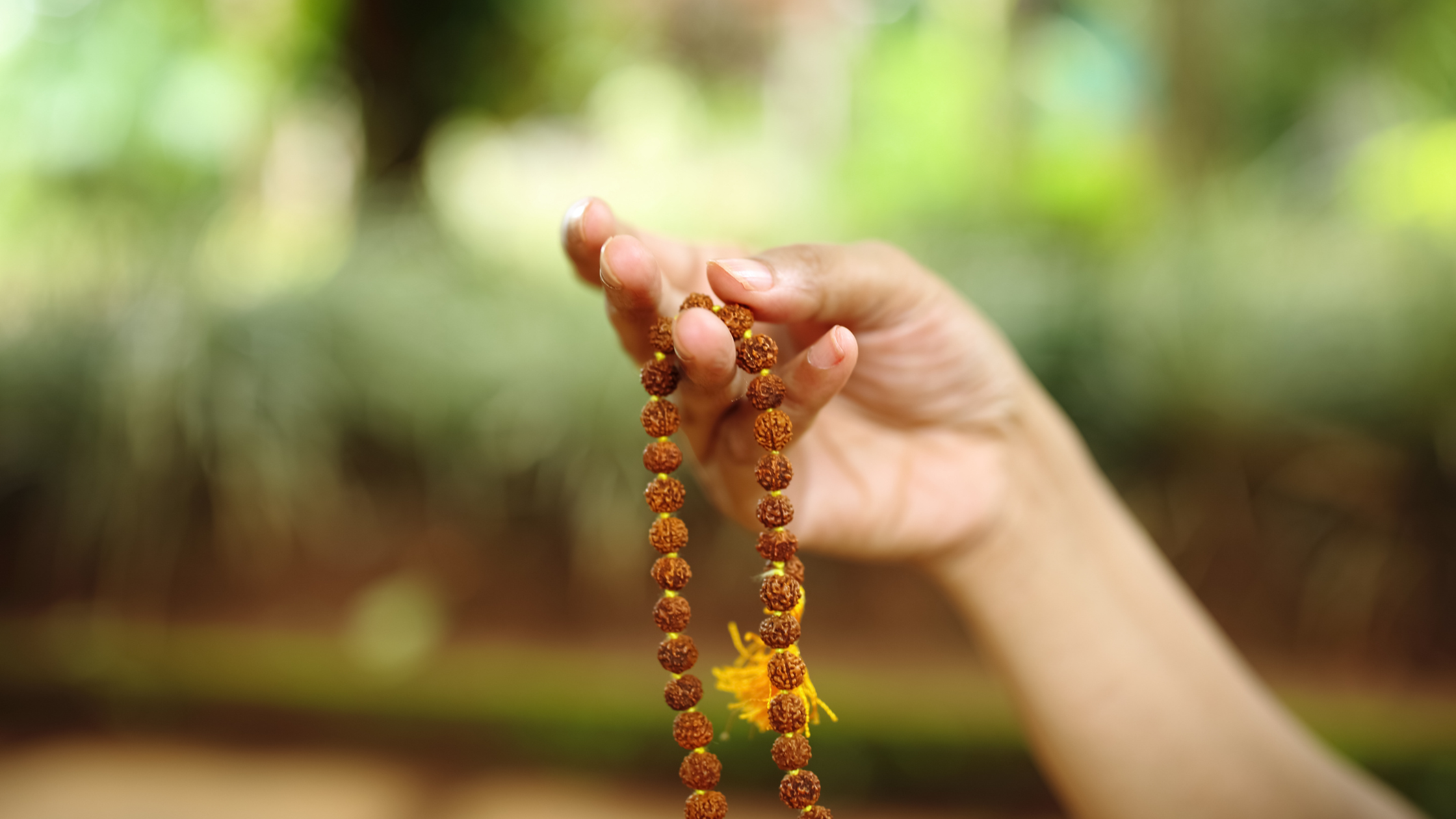 Which Rudraksha you should wear according to Zodiac sign