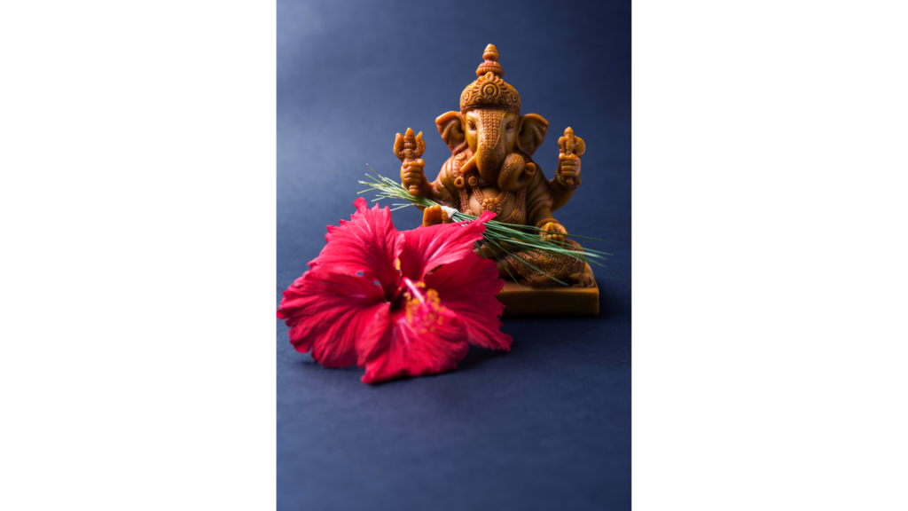 Red Hibiscus Flower to Offer to Lord Ganesha