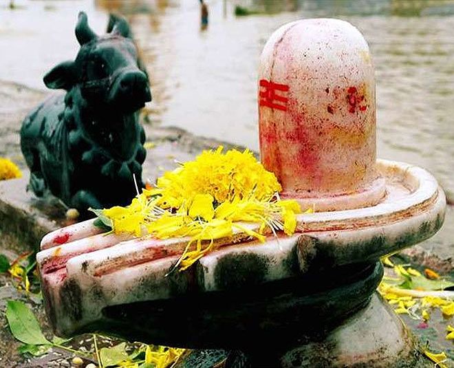 MahaShivRatri 2024 - 7 Sacred Offerings to Delight Lord Shiva 