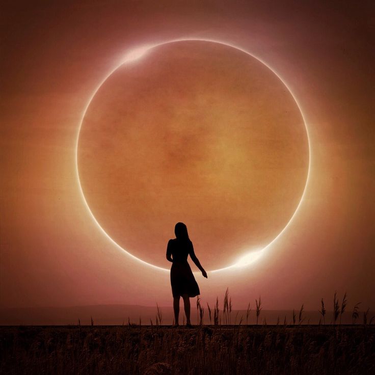 Solar Eclipse Predictions on the Zodiac Sign Cancer in 2024: